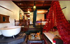 Casuarina Country Inn - Accommodation Search 3