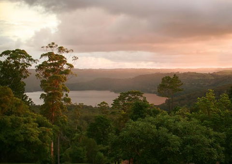 Montville Misty View Cabins - Accommodation Search 0