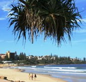 Mariners Caloundra - Accommodation Search