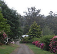 Mountain Rivers Lodge - Accommodation Search