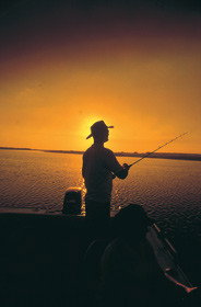 Point Stuart Wilderness Lodge - Accommodation Search 0