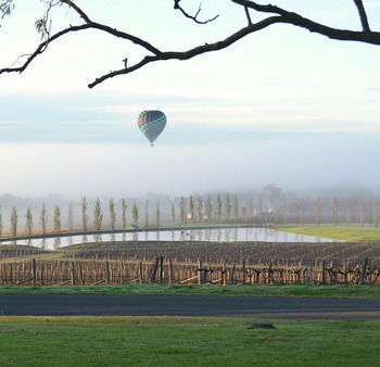 Estate Tuscany - Accommodation Search 20