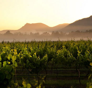 Estate Tuscany - Accommodation Search 21