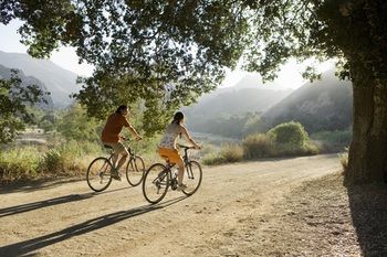 Estate Tuscany - Accommodation Search 30