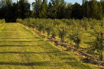 Talga Estate - Accommodation Search 45