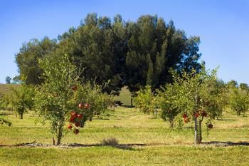 Talga Estate - Accommodation Search 48