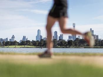 Mercure Melbourne Albert Park - Accommodation Search 88