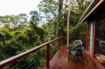 Kondalilla Eco Resort - Accommodation Search 0