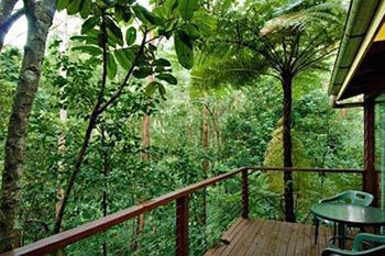 Kondalilla Eco Resort - Accommodation Search 2
