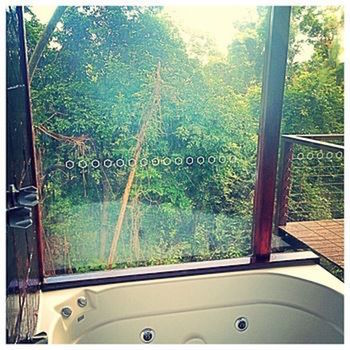 Kondalilla Eco Resort - Accommodation Search 10