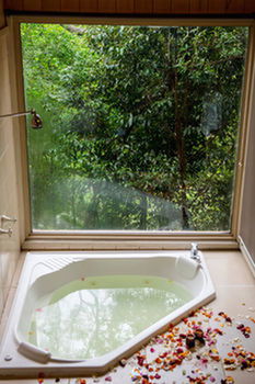 Kondalilla Eco Resort - Accommodation Search 17