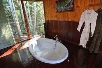 Kondalilla Eco Resort - Accommodation Search 21