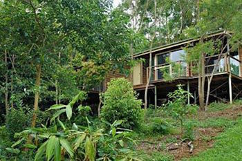 Kondalilla Eco Resort - Accommodation Search 22