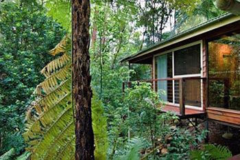 Kondalilla Eco Resort - Accommodation Search 23