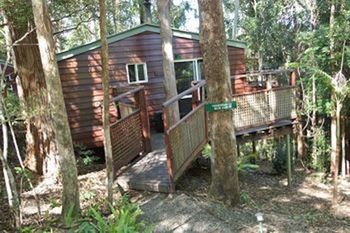 Kondalilla Eco Resort - Accommodation Search 27