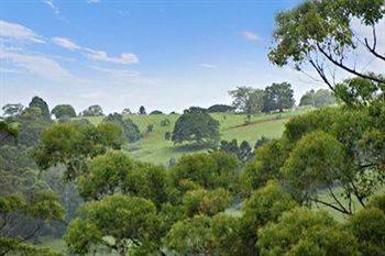Kondalilla Eco Resort - Accommodation Search 28