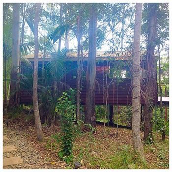 Kondalilla Eco Resort - Accommodation Search 32
