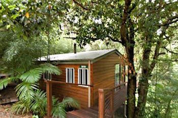 Kondalilla Eco Resort - Accommodation Search 35