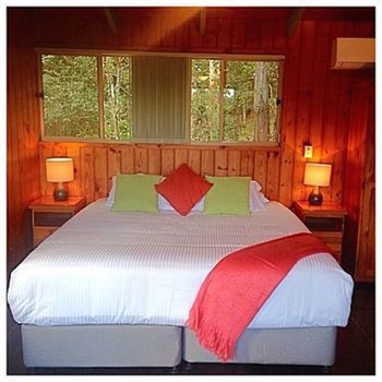 Kondalilla Eco Resort - Accommodation Search 42
