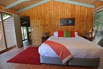 Kondalilla Eco Resort - Accommodation Search 45