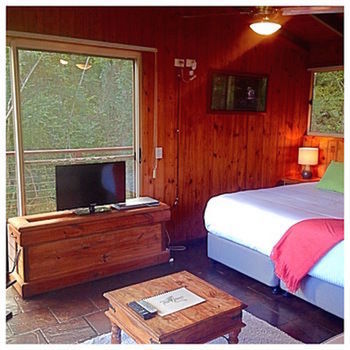 Kondalilla Eco Resort - Accommodation Search 50