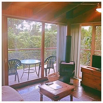 Kondalilla Eco Resort - Accommodation Search 89