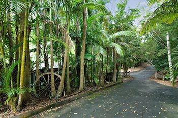 Kondalilla Eco Resort - Accommodation Search 94