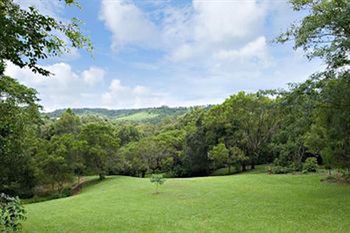Kondalilla Eco Resort - Accommodation Search 97