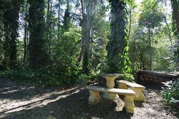 Kondalilla Eco Resort - Accommodation Search 98