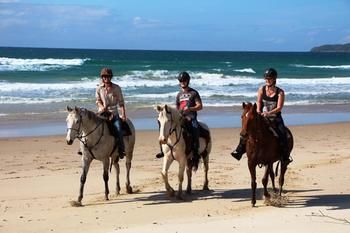 Sunset Cove Noosa - Accommodation Search 24
