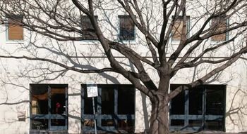 Lily Sands Inn - Accommodation Search 6