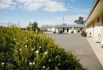 Merivale Motel - Accommodation Search 1