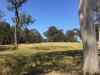 Worrowing At Jervis Bay - Accommodation Search 81