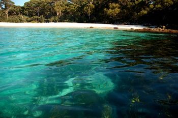 Worrowing At Jervis Bay - Accommodation Search 98