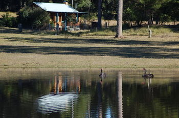 Worrowing At Jervis Bay - Accommodation Search 99