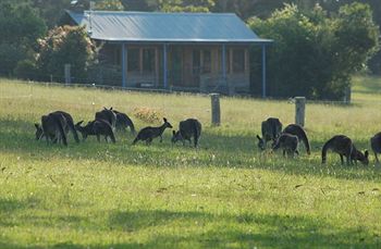 Worrowing At Jervis Bay - Accommodation Search 31