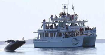 Worrowing At Jervis Bay - Accommodation Search 32