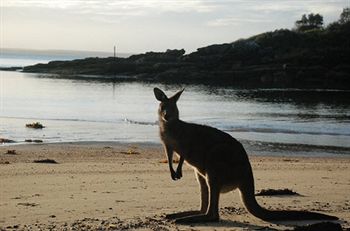 Worrowing At Jervis Bay - Accommodation Search 35