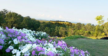 Wine Country Villas - Accommodation Search 27