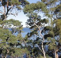 The Edgewater Bed amp Breakfast - Accommodation Search