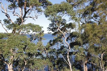 The Edgewater Bed & Breakfast - Accommodation Search 0
