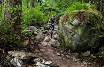 Mountain Element Retreats - Accommodation Search 9