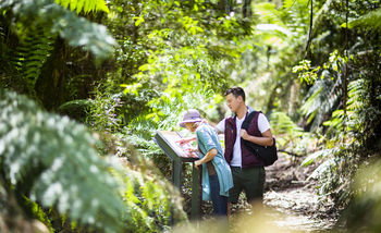 Mountain Element Retreats - Accommodation Search 10