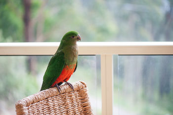 Mountain Element Retreats - Accommodation Search 13