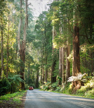 Mountain Element Retreats - Accommodation Search 15