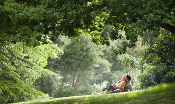 Mountain Element Retreats - Accommodation Search 16