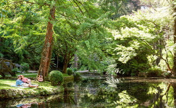 Mountain Element Retreats - Accommodation Search 17