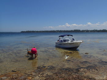 Dungowan Waterfront Apartments - Accommodation Search 39