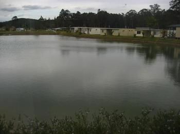 Australian Motor Homes Tourist Park - Accommodation Search 3
