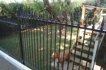 Old Maitland Inn - Accommodation Search 51